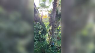 View from where I am staying in Chiang Mai - Jewelzblu OnlyFans Leaks