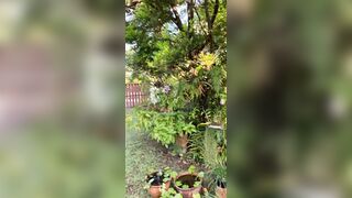 View from where I am staying in Chiang Mai - Jewelzblu OnlyFans Leaks