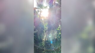 View from where I am staying in Chiang Mai - Jewelzblu OnlyFans Leaks