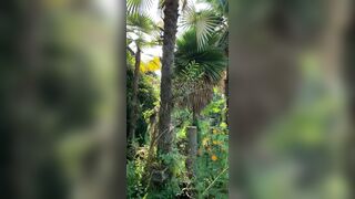 View from where I am staying in Chiang Mai - Jewelzblu OnlyFans Leaks