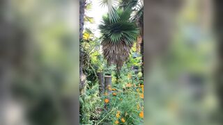 View from where I am staying in Chiang Mai - Jewelzblu OnlyFans Leaks