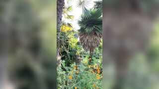 View from where I am staying in Chiang Mai - Jewelzblu OnlyFans Leaks