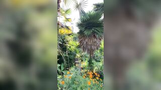 View from where I am staying in Chiang Mai - Jewelzblu OnlyFans Leaks