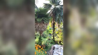 View from where I am staying in Chiang Mai - Jewelzblu OnlyFans Leaks