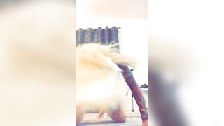 [112 of 1424 Vids] Sophieaslut (sophieasuccess_fanpage aka Sophie Anderson) OnlyFans Leaks Nude