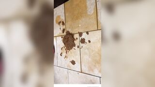 [1241 of 1424 Vids] Sophieaslut (sophieasuccess_fanpage aka Sophie Anderson) OnlyFans Leaks Nude