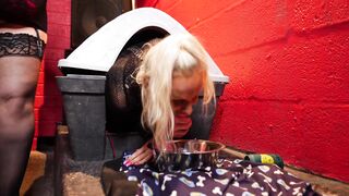 [1321 of 1424 Vids] Sophieaslut (sophieasuccess_fanpage aka Sophie Anderson) OnlyFans Leaks Nude