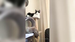 [146 of 1424 Vids] Sophieaslut (sophieasuccess_fanpage aka Sophie Anderson) OnlyFans Leaks Nude