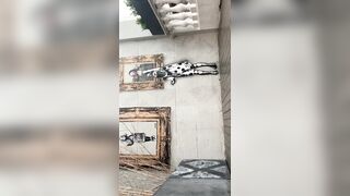 [18 of 1424 Vids] Sophieaslut (sophieasuccess_fanpage aka Sophie Anderson) OnlyFans Leaks Nude