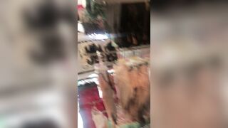 [335 of 1424 Vids] Sophieaslut (sophieasuccess_fanpage aka Sophie Anderson) OnlyFans Leaks Nude