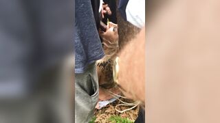 [470 of 1424 Vids] Sophieaslut (sophieasuccess_fanpage aka Sophie Anderson) OnlyFans Leaks Nude