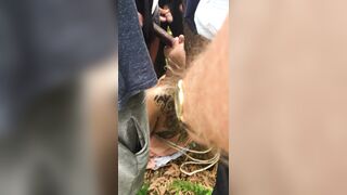 [470 of 1424 Vids] Sophieaslut (sophieasuccess_fanpage aka Sophie Anderson) OnlyFans Leaks Nude