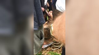 [470 of 1424 Vids] Sophieaslut (sophieasuccess_fanpage aka Sophie Anderson) OnlyFans Leaks Nude