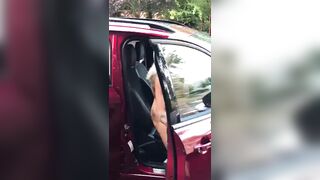 [651 of 1424 Vids] Sophieaslut (sophieasuccess_fanpage aka Sophie Anderson) OnlyFans Leaks Nude