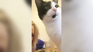 [685 of 1424 Vids] Sophieaslut (sophieasuccess_fanpage aka Sophie Anderson) OnlyFans Leaks Nude