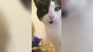 [685 of 1424 Vids] Sophieaslut (sophieasuccess_fanpage aka Sophie Anderson) OnlyFans Leaks Nude