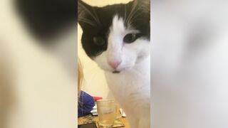 [685 of 1424 Vids] Sophieaslut (sophieasuccess_fanpage aka Sophie Anderson) OnlyFans Leaks Nude