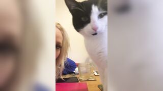 [685 of 1424 Vids] Sophieaslut (sophieasuccess_fanpage aka Sophie Anderson) OnlyFans Leaks Nude