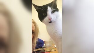 [685 of 1424 Vids] Sophieaslut (sophieasuccess_fanpage aka Sophie Anderson) OnlyFans Leaks Nude