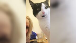 [685 of 1424 Vids] Sophieaslut (sophieasuccess_fanpage aka Sophie Anderson) OnlyFans Leaks Nude