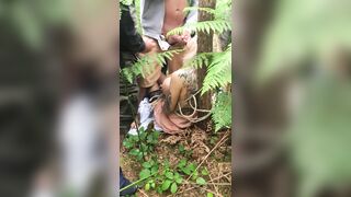 [695 of 1424 Vids] Sophieaslut (sophieasuccess_fanpage aka Sophie Anderson) OnlyFans Leaks Nude