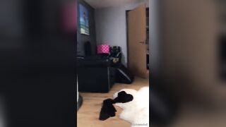 [763 of 1424 Vids] Sophieaslut (sophieasuccess_fanpage aka Sophie Anderson) OnlyFans Leaks Nude