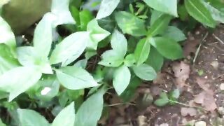 [863 of 1424 Vids] Sophieaslut (sophieasuccess_fanpage aka Sophie Anderson) OnlyFans Leaks Nude