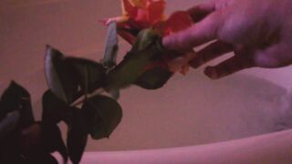 [12 of 550 Vids] Izzy_xx (izzy_xx7 aka thexxgirl aka BlancNoir) OnlyFans Leaks Nude