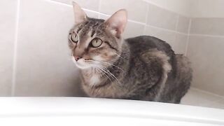 [17 of 550 Vids] Izzy_xx (izzy_xx7 aka thexxgirl aka BlancNoir) OnlyFans Leaks Nude