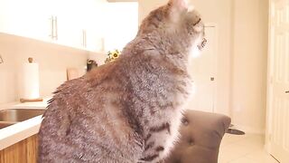 [20 of 550 Vids] Izzy_xx (izzy_xx7 aka thexxgirl aka BlancNoir) OnlyFans Leaks Nude