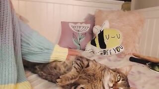 [26 of 550 Vids] Izzy_xx (izzy_xx7 aka thexxgirl aka BlancNoir) OnlyFans Leaks Nude