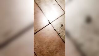 [113 of 501 Vids] Miamalkova (Mia Malkova) OnlyFans Leaks Nude Big Tits