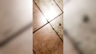 [186 of 501 Vids] Miamalkova (Mia Malkova) OnlyFans Leaks Nude Big Tits