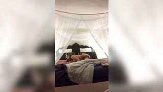 [262 of 501 Vids] Miamalkova (Mia Malkova) OnlyFans Leaks Nude Big Tits