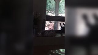 [288 of 501 Vids] Miamalkova (Mia Malkova) OnlyFans Leaks Nude Big Tits