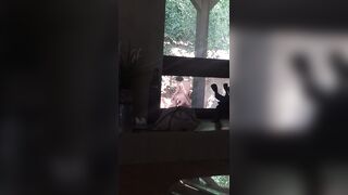 [53 of 501 Vids] Miamalkova (Mia Malkova) OnlyFans Leaks Nude Big Tits