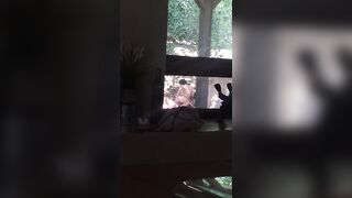 [53 of 501 Vids] Miamalkova (Mia Malkova) OnlyFans Leaks Nude Big Tits