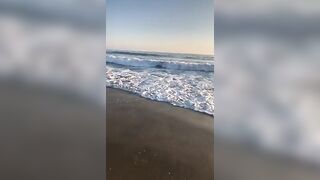 [84 of 501 Vids] Miamalkova (Mia Malkova) OnlyFans Leaks Nude Big Tits