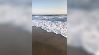 [84 of 501 Vids] Miamalkova (Mia Malkova) OnlyFans Leaks Nude Big Tits