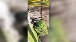 [22 of 150 Vids] Hannahjames710 (Hannah James) OnlyFans Leaks Nude Spanish