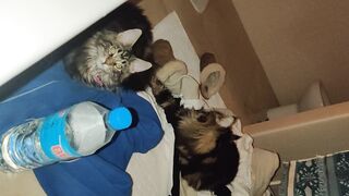 [30 of 150 Vids] Hannahjames710 (Hannah James) OnlyFans Leaks Nude Spanish