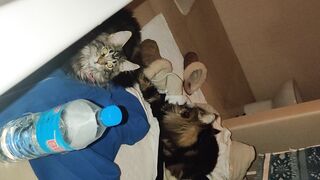 [30 of 150 Vids] Hannahjames710 (Hannah James) OnlyFans Leaks Nude Spanish