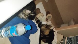 [30 of 150 Vids] Hannahjames710 (Hannah James) OnlyFans Leaks Nude Spanish