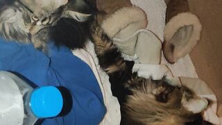 [30 of 150 Vids] Hannahjames710 (Hannah James) OnlyFans Leaks Nude Spanish