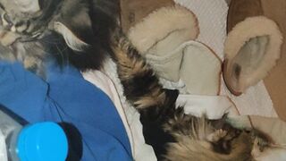 [30 of 150 Vids] Hannahjames710 (Hannah James) OnlyFans Leaks Nude Spanish