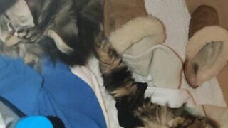 [30 of 150 Vids] Hannahjames710 (Hannah James) OnlyFans Leaks Nude Spanish