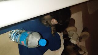 [30 of 150 Vids] Hannahjames710 (Hannah James) OnlyFans Leaks Nude Spanish