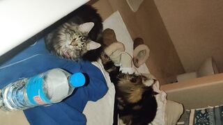 [30 of 150 Vids] Hannahjames710 (Hannah James) OnlyFans Leaks Nude Spanish