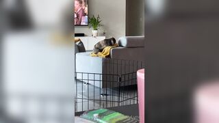 [281 of 485 VIds] Theemilylynne (Emily Lynne aka the.emilylynne) OnlyFans Leaks Nude