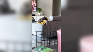 [281 of 485 VIds] Theemilylynne (Emily Lynne aka the.emilylynne) OnlyFans Leaks Nude